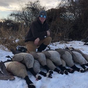 Meet your Posher, Nick